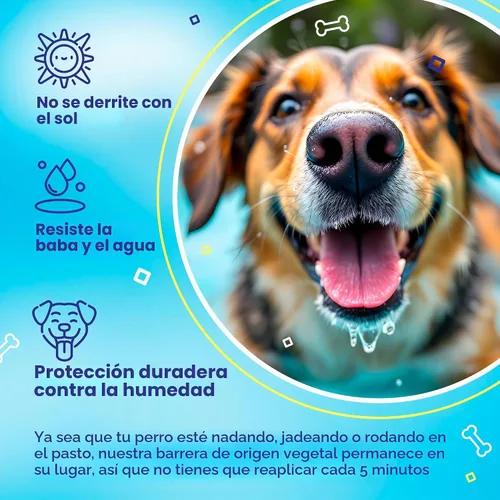 Vista 5 de Handy Hound SnoutScreen - Bálsamo protector solar para nariz y patas, 1