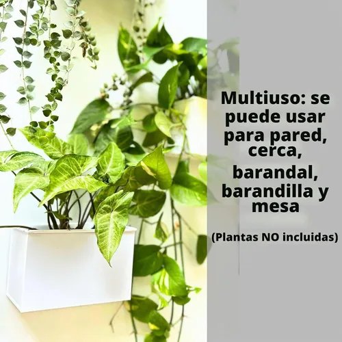 Vista 5 de LaLaGreen - Maceta de pared, paquete de 3, macetas de montaje en pared de 6 pulgadas para suculentas, color blanco, maceta rectangular de metal