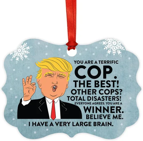 Vista 27 de Andaz Press Presidente Donald Trump Fancy Frame Recuerdo Adorno de Navidad Regalo de broma, excelente contador, 1 paquete, divertidas ideas