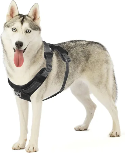 Vista 12 de Outward Hound Boulder Adventure - Arnés ajustable para perro con bolsillos, turquesa, mediano