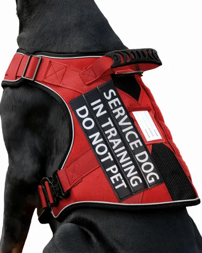 Vista 23 de Chaleco de perro de servicio para perros medianos, arnés de perro de servicio en entrenamiento con parches, chaleco ajustable para perros