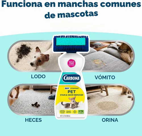Vista 3 de Carbona Oxy-Powered - Removedor de manchas y olores de mascotas Limpiador de alfombras para mascotas 13.5 onzas