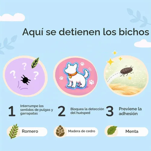 Vista 3 de Kit de protección contra garrapatas (champú de lavanda - spray de lavanda)