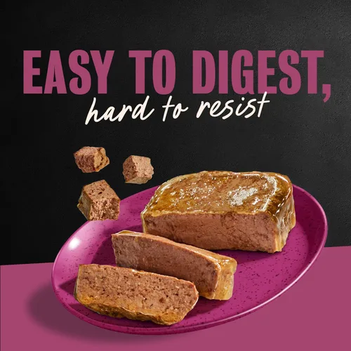Vista 10 de Cesar Gourmet - Comida húmeda para perros, paquete de 12