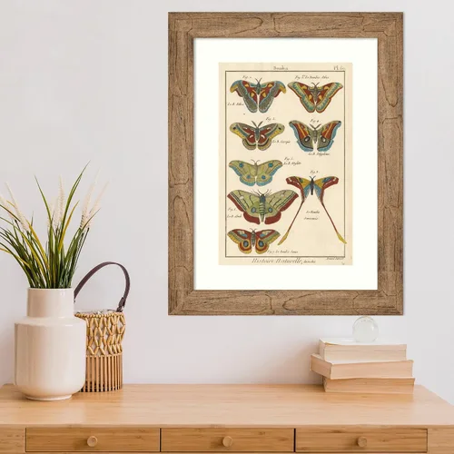 Vista 5 de Amanti Art Lienzo decorativo para pared enmarcado de 24 x 18 pulgadas, diseño de mariposas de naturaleza III de historia, arte de pared de animales