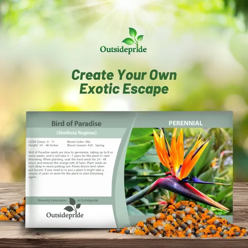 Vista 4 de Outsidepride Bird of Paradise Seeds - 15 unidades Perenne, versátil y de crecimiento lento, semillas de flores para plantar flores exóticas