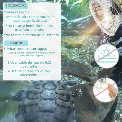 Vista 6 de LUCKY HERP Paquete de 4 bombillas de luz para reptiles UVA UVB de 25W, bombillas de lámpara de calor para reptiles y anfibios, bombilla de luz