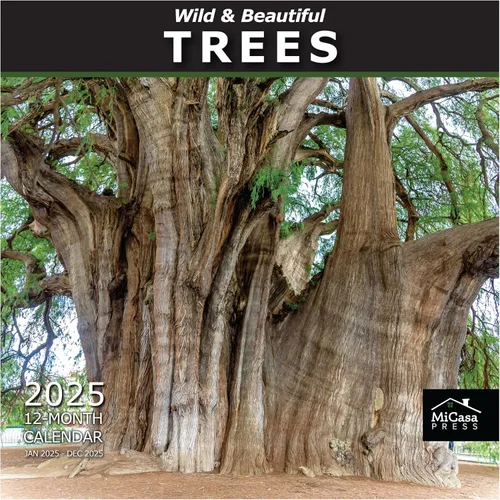Vista 44 de MICASA PRESS National Parks - Calendario de pared 2027 de 12 meses 2-01 - Parques Nacionales Salvajes y Hermosos