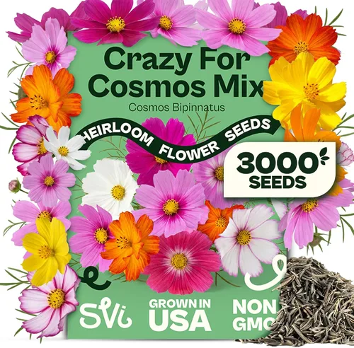 Vista 19 de Queen Anne 's Lace- 200 semillas – 50% de descuento venta