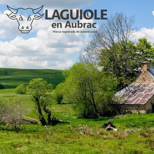 Vista 7 de Laguiole en Aubrac L0312AMIF - Cuchillo hecho a mano (4.7 in, mango de madera de serpiente, hoja y refuerzos, acero inoxidable, brillante)