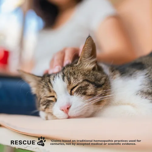 Vista 5 de Rescue Remedy Pet Dropper para gatos – 0.3 onzas líquidas – Soporte de estrés y tensión para gatos con esencias florales naturales de Bach – Fórmula