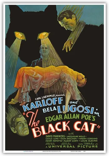 Vista 10 de Edgar Allan Poe's The Black Cat - Protagonizada por Boris Karloff Bela Lugosi - Póster de película vintage c.1934 - Impresión artística maestra