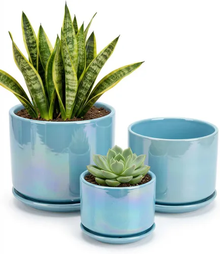 Vista 10 de Macetas de cerámica EFISPSS, macetas de interior de 4+5+6 pulgadas de cerámica para plantas con orificio de drenaje, para suculentas y cactus