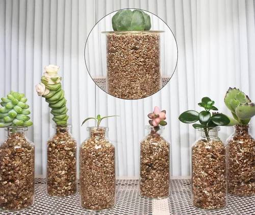 Vista 3 de Vermiculita orgánica de 2 cuartos de galón, vermiculita hortícola para plantas, aditivo de suelo para plantas en maceta, vermiculita gruesa