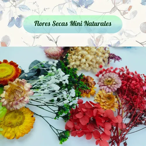 Vista 3 de TooGet Mini Flores Secas 9 Bolsas Natural Real Pequeñas Hojas de Flores