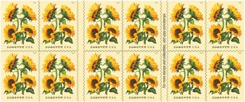 Vista 4 de Girasoles 2026 (Libro de 20) Flores First-Class Mail Forever Sellos postales
