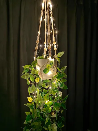 Vista 5 de Comtelek - Maceta colgante con luces para interiores, cesta colgante de macramé con cuentas de madera, soporte para macetas sin borlas