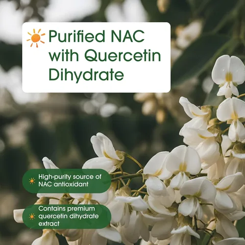 Vista 6 de NatureBell Suplemento NAC de 1200 mg por porción 240 cápsulas, N-acetil cisteína con quercetina Doble fuerza - Apoyo para la salud inmunológica