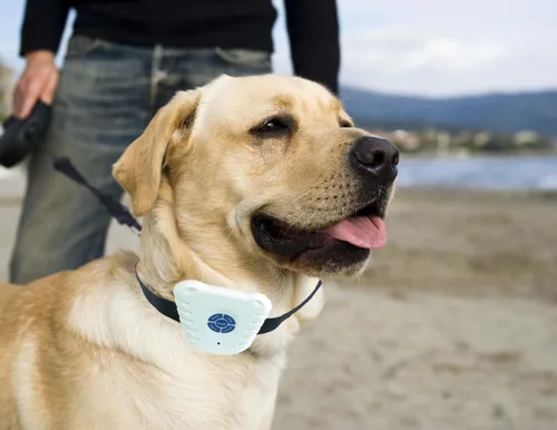 Vista 5 de Pet Life Collar antiladridos antigolpes seguro Ulltrasonic, sin golpes, que ayuda a eliminar y proporcionar antiladridos con múltiples opciones