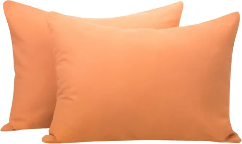 Vista 44 de NTBAY Juego de 2 fundas de almohada con cremallera para niños pequeños, 100% microfibra cepillada de 13 x 18 pulgadas, súper suaves y acogedoras