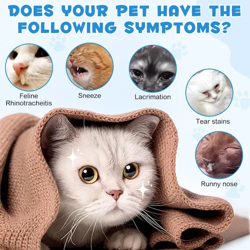 Vista 4 de NIFEISHI Suplemento líquido de L-lisina para gatos, para salud respiratoria, estornudos, secreción nasal y cuidado de los ojos, para gatos de todas