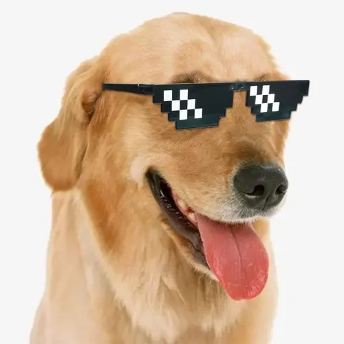 Vista 7 de Lorigun Thug Life - Gafas de sol Pixel para fiesta, lidiar con eso, gafas de despedida de soltero