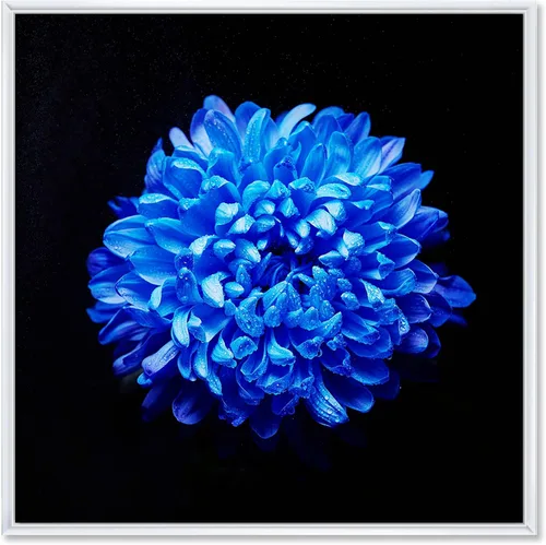 Vista 54 de DesignQ Lienzo enmarcado tradicional con flores silvestres azules con hojas verdes II