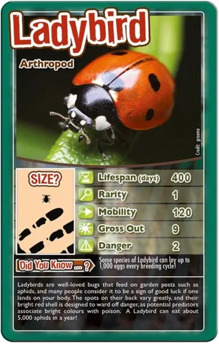 Vista 3 de Top Trumps Juego de cartas Bugs - Juegos familiares para niños y adultos - Juegos de aprendizaje - Juegos de cartas para niños 2 y más