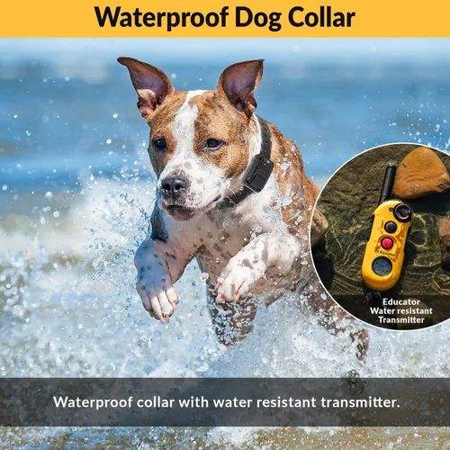 Vista 5 de E-Collar Educator EZ-900 - Collar de entrenamiento para perros con control remoto, color amarillo Alcance de 1/2 milla, 256 niveles, impermeable