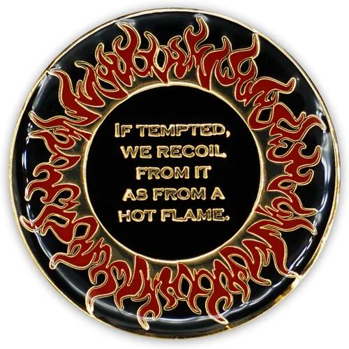 Vista 4 de Moneda de sobriedad de 1 año Flames AA Chip Medallion Recovery Gift Aniversario Token con Alcohólicos Anónimos Afirmación de promesa de décimo paso