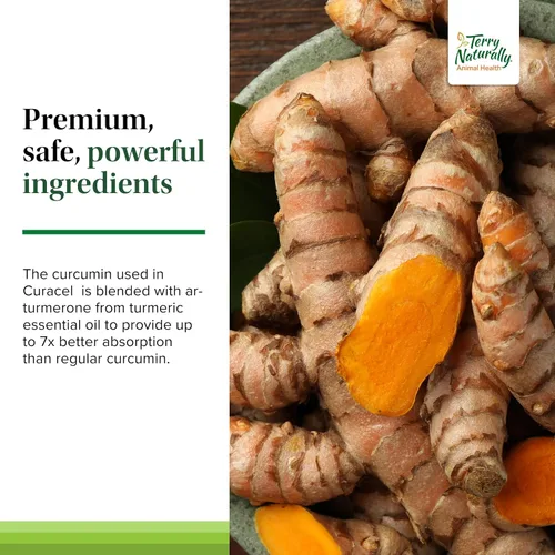 Vista 5 de Terry Naturally Animal Health Curacel Curcumina - Antioxidante - 60