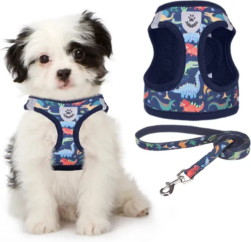 Vista 12 de Arnés de malla suave para cachorros – Juego de arnés y correa para perros pequeños, ajustable y cómodo chaleco reflectante acolchado para cachorros