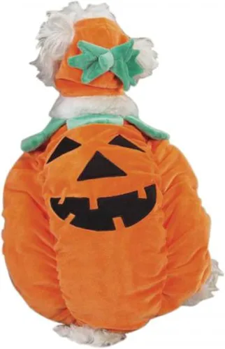Vista 2 de Zack & Zoey Disfraz de perro de calabaza para perro, talla XS, naranja