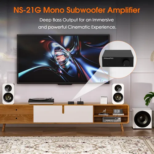 Vista 2 de Nobsound Mini amplificador de subwoofer mono: amplificador de alta fidelidad de 100 W con TPA3116 y filtro de paso bajo para cine en casa, agitador