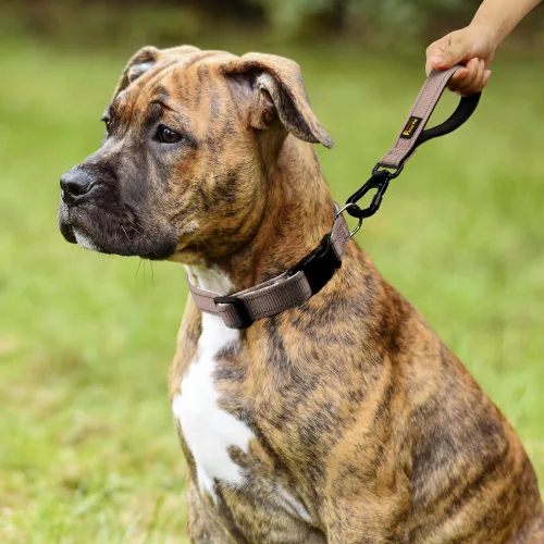 Vista 7 de PLUTUS PET Correa corta para perro, mango acolchado de nailon reflectante, correa de tráfico fuerte con clip de mosquetón, perfecta para perros Beige