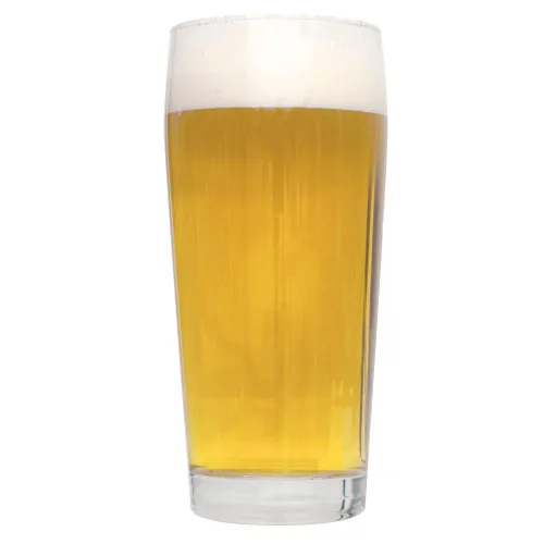 Vista 4 de Northern Brewer - El kit de recetas de cerveza con extracto IPA recién aplastado hace 5 galones