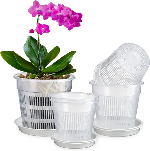 Vista 10 de Maceta de orquídeas, paquete de 6 macetas de orquídeas de 6 pulgadas