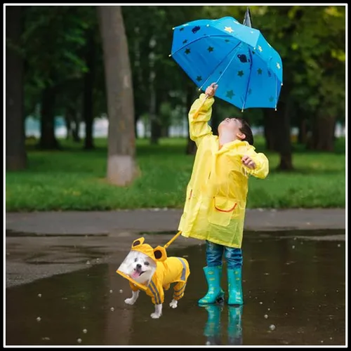 Vista 4 de Impermeable para perros, chaqueta impermeable para perros con rayas reflectantes de seguridad, poncho con capucha y correa para perros y cachorros