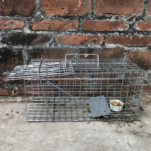 Vista 6 de Gingbau Trampa de ardillas plegable resistente para animales vivos (no para ratón)