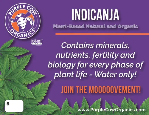 Vista 2 de Purple Cow Organics IndiCanja 1 pie cúbico Bolsa, Tierra de Vida Orgánica, Suelo Super Orgánico Limpio y Natural a Base de Plantas con Solo Agua