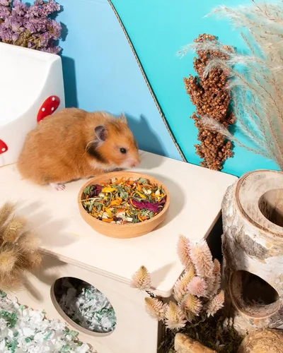 Vista 5 de Niteangel Nature Golden Hamster Food: 500g/17.63oz Dieta completa