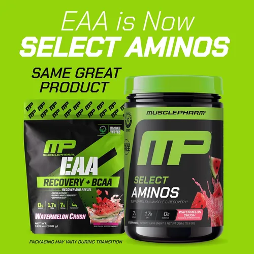 Vista 2 de MusclePharm Select Amino's Amino's EAA + BCAAs, polvo de aminoácidos esenciales después del entrenamiento, suplemento energético preentrenamiento