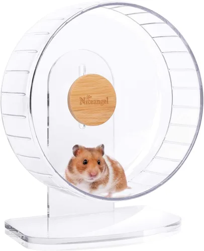 Vista 22 de Niteangel Ruedas de ejercicio súper silenciosas para hámster: ruedas giratorias silenciosas para hámster con soporte ajustable para hámsters, Verde