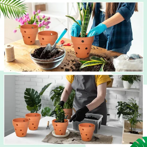 Vista 6 de FoldTier - 12 macetas de orquídea de terracota de 4 pulgadas con agujeros
