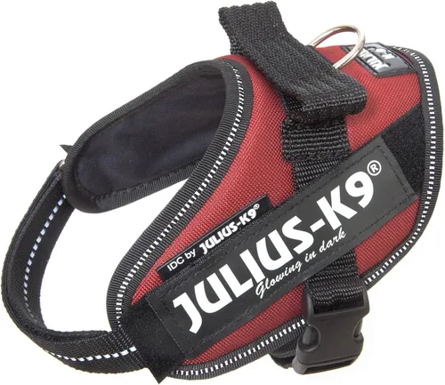 Vista 24 de Julius-K9 IDC Powerharness - Arnés para perro, Antracita