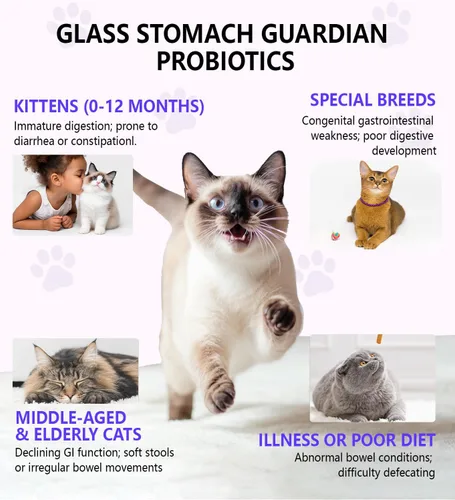 Vista 4 de Alivio del estreñimiento para gatos, laxante 100% natural para gatos, 2 onzas líquidas con probióticos suavizante de heces para gatos, promueve