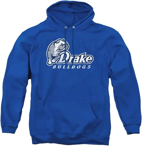 Vista 126 de Distressed College Primary Logo Adult Pullover Hoodie Collection 1 Universidad Estatal de Albany