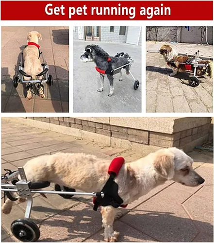 Vista 6 de Aluminum Dog Wheelchair, Lightweight Dog Wheelchair for Back Legs, Disabled Dog Assisted Walk Car Pet Hind Leg Exercise Car for Small Pet Cat