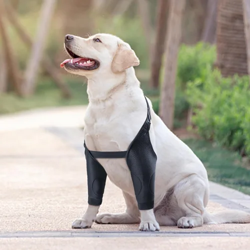 Vista 6 de Protector de codo para perro, coderas de malla transpirable para callos, traje de recuperación de perros, coderas de perro, coderas de perro