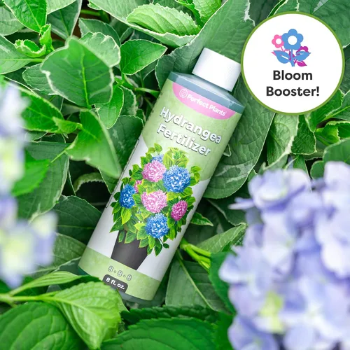 Vista 4 de Perfect Plants Fertilizante líquido prémium para hortensias Potenciador de floración Fertilizante para hortensias y otras plantas con flores